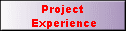 Project 
 Experience
