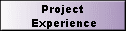 Project 
 Experience