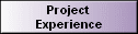 Project 
 Experience