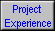 Project 
 Experience