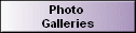 Photo 
 Galleries