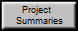 Project  
 Summaries