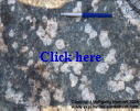 Scapolite crystals in a pyroxenite from an outcrop near Maroasara.