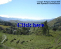 View into the Ranomafana Valley, north of Fort-Dauphin