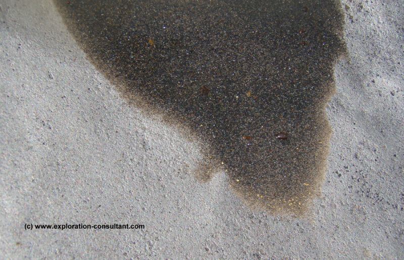 panning concentrate with gold